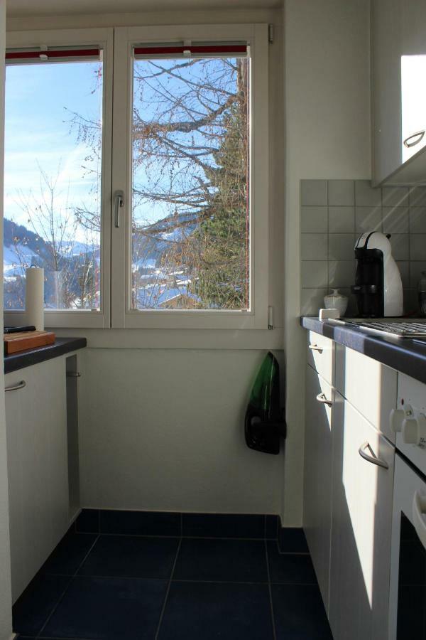 The Engstligen Apartment อาเดลโบเดิน ภายนอก รูปภาพ