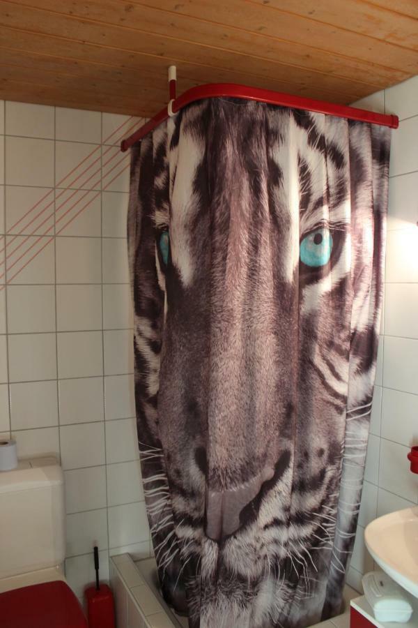 The Engstligen Apartment อาเดลโบเดิน ภายนอก รูปภาพ
