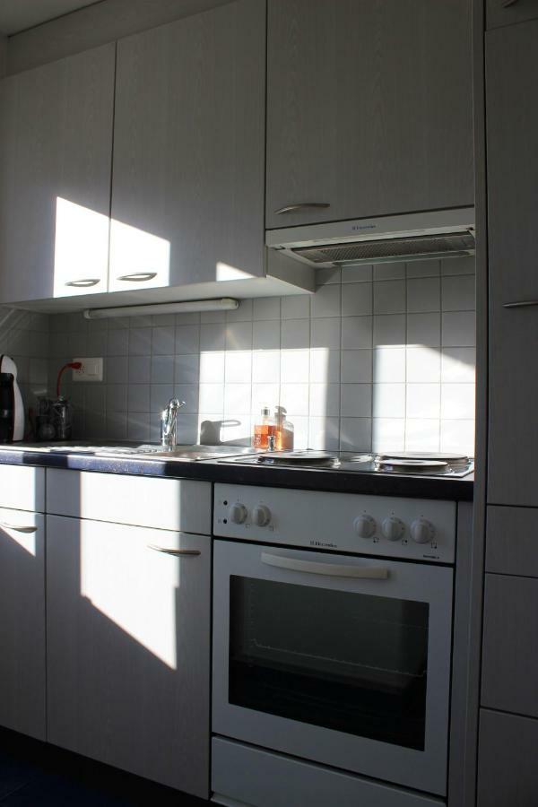 The Engstligen Apartment อาเดลโบเดิน ภายนอก รูปภาพ